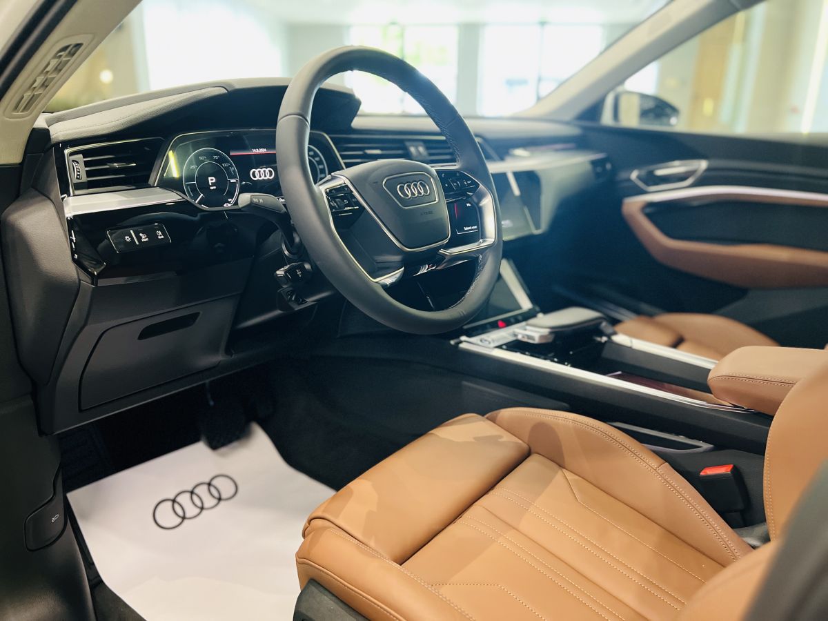 Audi Q8 e-tron SUV 55 quattro